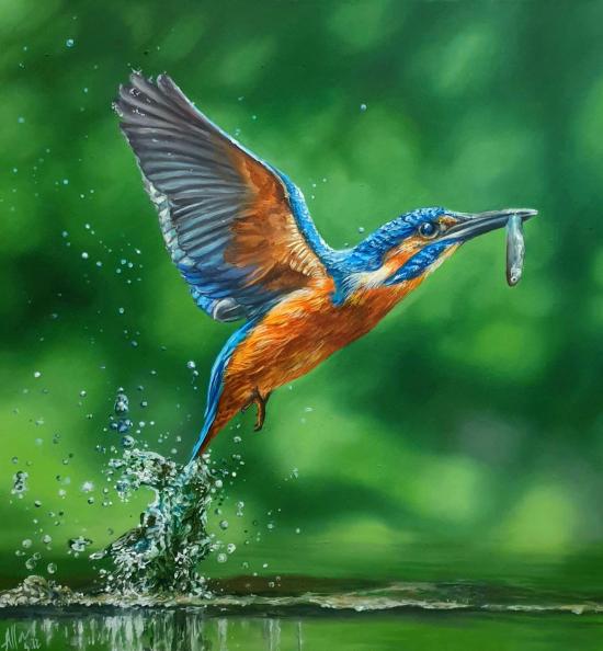 Kingfisher