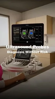 Ultrasound Probes & Transducers